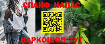 гашик Дубна