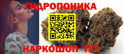 гашик Дубна